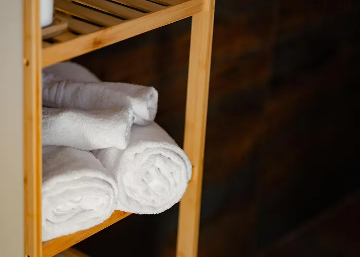 公寓 Matias Cozy Crib 布拉索夫