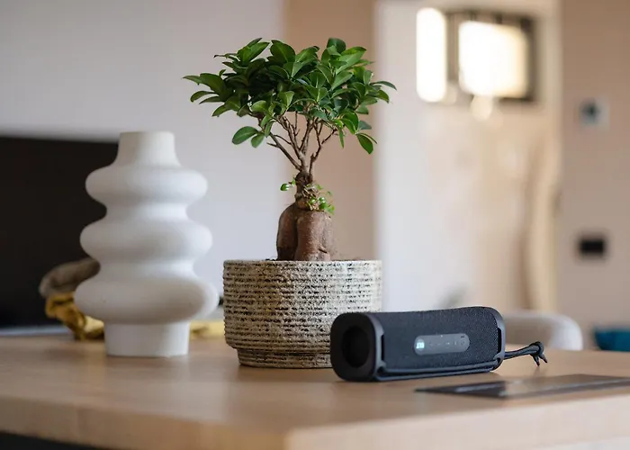 Matias Cozy Crib 公寓 布拉索夫